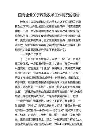 国企深化改革工作情况总结报告（公司）
