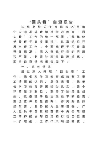 八项规定精神“回头看”自查报告4800字