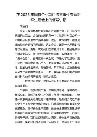 国有企业项目违章事件专题组织生活会上的督导讲话（公司）
