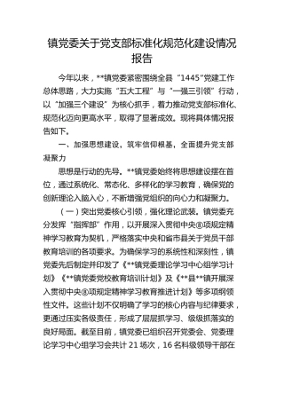乡镇党支部标准化规范化建设情况总结报告