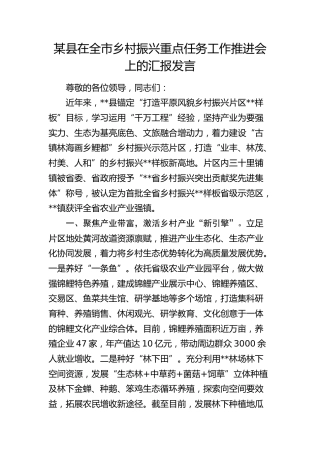 在全市乡村振兴重点任务工作推进会上的汇报发言 (2)