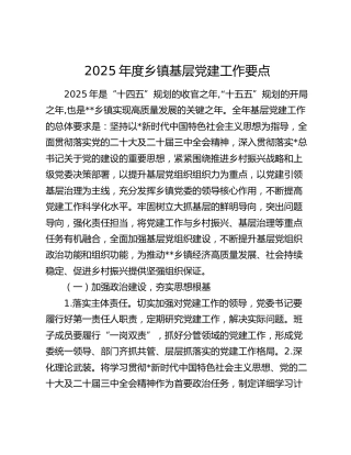 2025年度乡镇党建工作要点