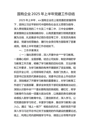国企公司2025年上半年党建工作总结6100字