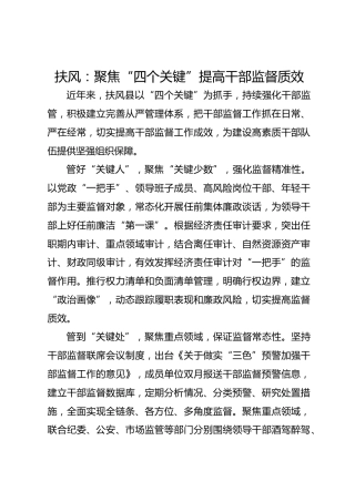 扶风：聚焦“四个关键”提高干部监督质效