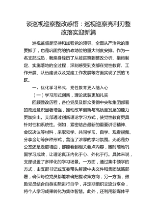 谈巡视巡察整改感悟心得体会发言