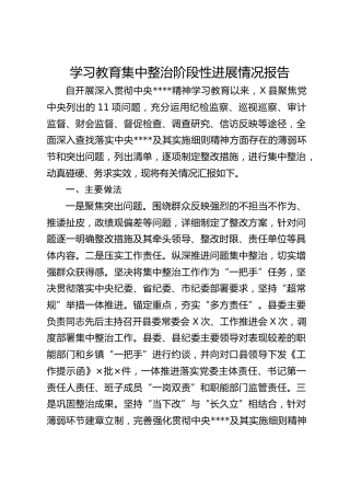 县区八项规定精神学习教育集中整治阶段性进展总结报告3400字