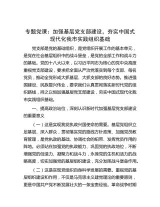 党课：加强基层党支部建设，夯实中国式现代化我市实践组织基础