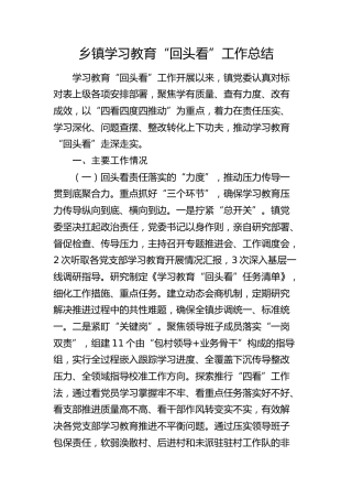 乡镇八项规定精神学习教育“回头看”工作总结3500字