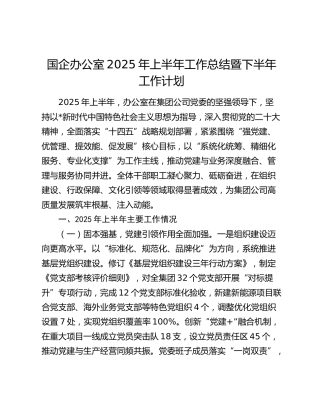 国企公司办公室2025年上半年工作总结暨下半年工作计划