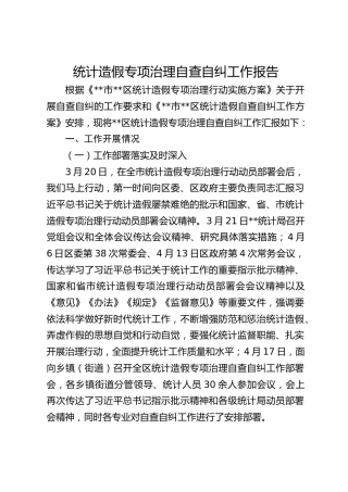 统计造假专项治理自查自纠工作报告