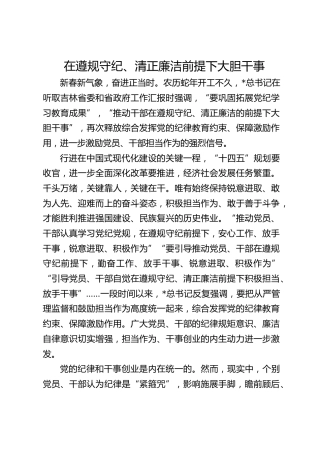 在遵规守纪、清正廉洁前提下大胆干事