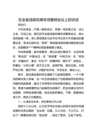 在违规吃喝专项整顿会议上的讲话5400字