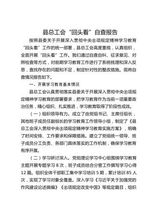 县总工会八项规定精神“回头看”自查总结报告3800字