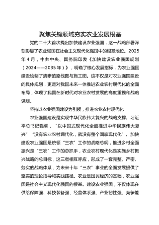 聚焦关键领域夯实农业发展根基