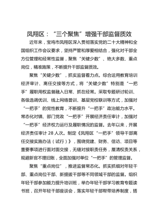 凤翔区：“三个聚焦”增强干部监督质效