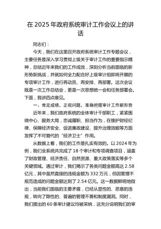 政府系统审计工作会议上的讲话