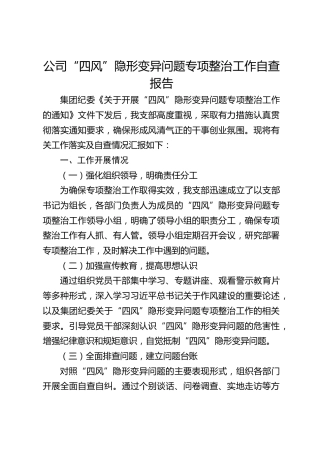 公司“四风”隐形变异问题专项整治工作自查总结报告