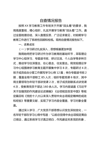 八项规定精神“回头看”自查情况总结报告4500字