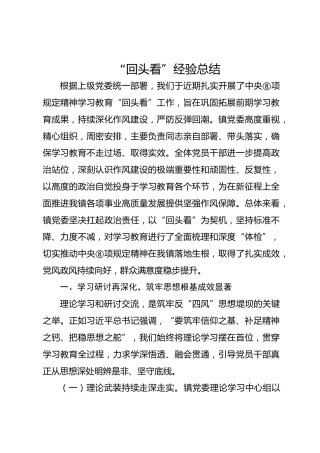 八项规定精神学习教育“回头看”经验总结8400字（乡镇）