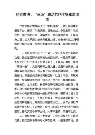 经验总结：“三级”联动 共创平安和谐城市