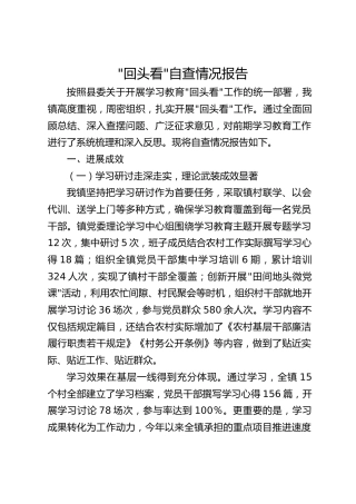 乡镇八项规定精神“回头看”自查情况总结报告4400字