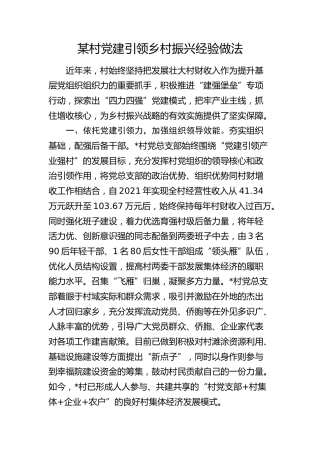 村党建引领乡村振兴经验做法