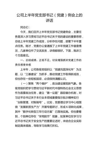 公司上半年党支部书记（党建）例会上的讲话
