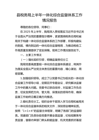 税务系统上半年一体化综合监督体系工作情况报告