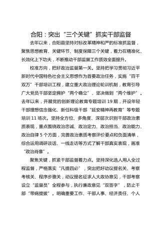 合阳：突出“三个关键”抓实干部监督