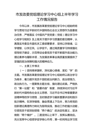 市发改委中心组上半年学习工作情况报告