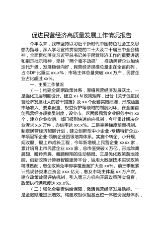 全市促进民营经济高质量发展工作情况总结报告