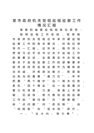 市政府机关党组巡视巡察工作情况汇报