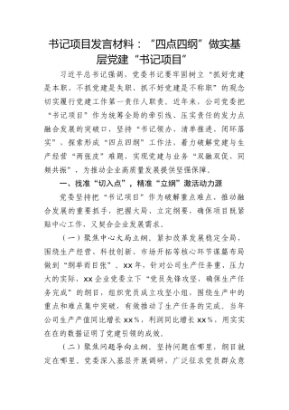公司书记项目发言（党建经验）