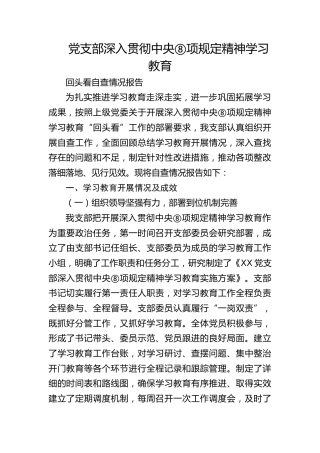 党支部深入贯彻中央八项规定精神学习教育”回头看“总结报告（参考范文）
