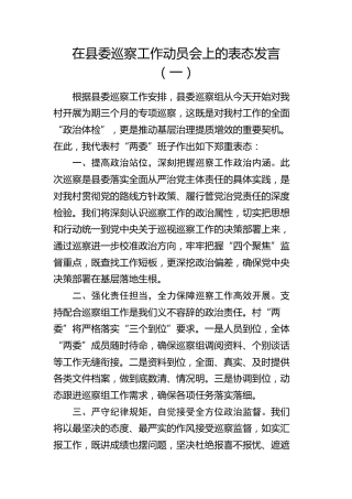 在县委巡察工作动员会上的表态发言2篇（村）