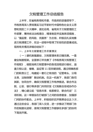 税务系统欠税管理工作总结报告