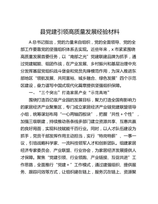 县党建引领高质量发展经验