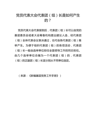 党员代表大会代表团（组）长是如何产生的？