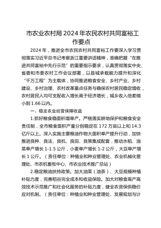市农业农村局农民农村共同富裕工作要点