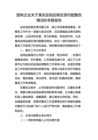 国有企业关于落实巡视巡察反馈问题整改情况的专题报告（公司）