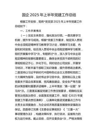 国企公司2025年上半年党建工作总结2900字