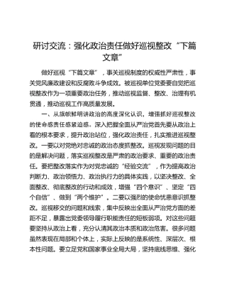 研讨发言：强化政治责任 做好巡视整改“下篇文章”