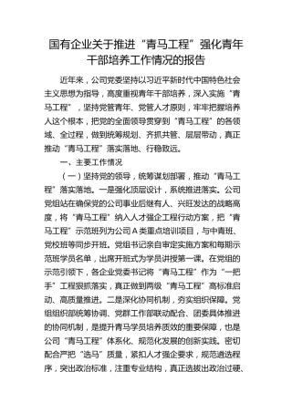 国有企业关于推进“青马工程”强化青年干部培养工作情况的报告（公司）