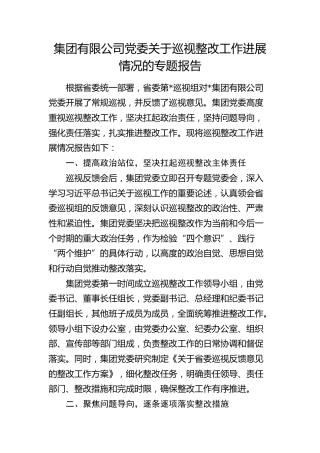 公司党委关于巡视整改工作进展情况的专题报告