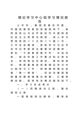 2025年上半年理论学习中心组学习情况总结报告（公司3000字）