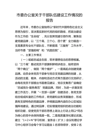 市委办公室关于干部队伍建设工作总结报告