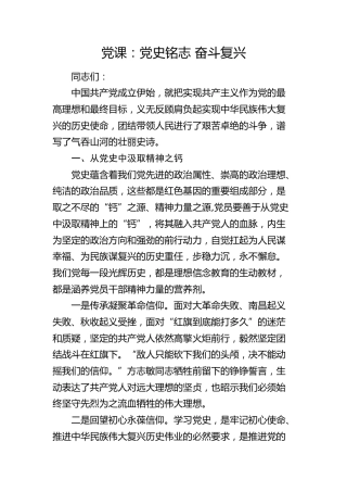 七一党课：党史铭志 奋斗复兴
