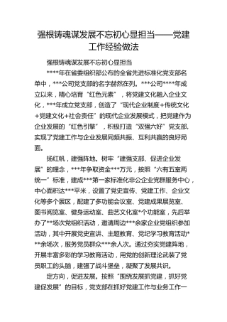 公司党建工作经验做法