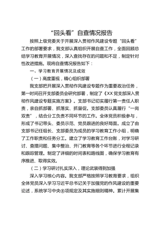 党支部八项规定精神“回头看”自查情况总结报告5600字
