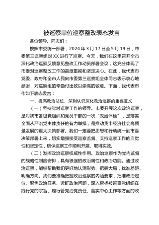 被巡察单位巡察整改表态发言